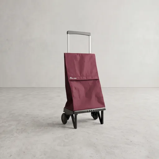 Carro de la compra plegable Rolser Plegamatic MF de 2 ruedas
