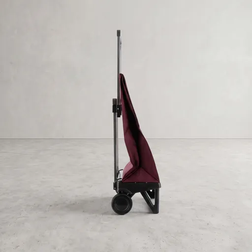 Carro de la compra plegable Rolser Plegamatic MF de 2 ruedas